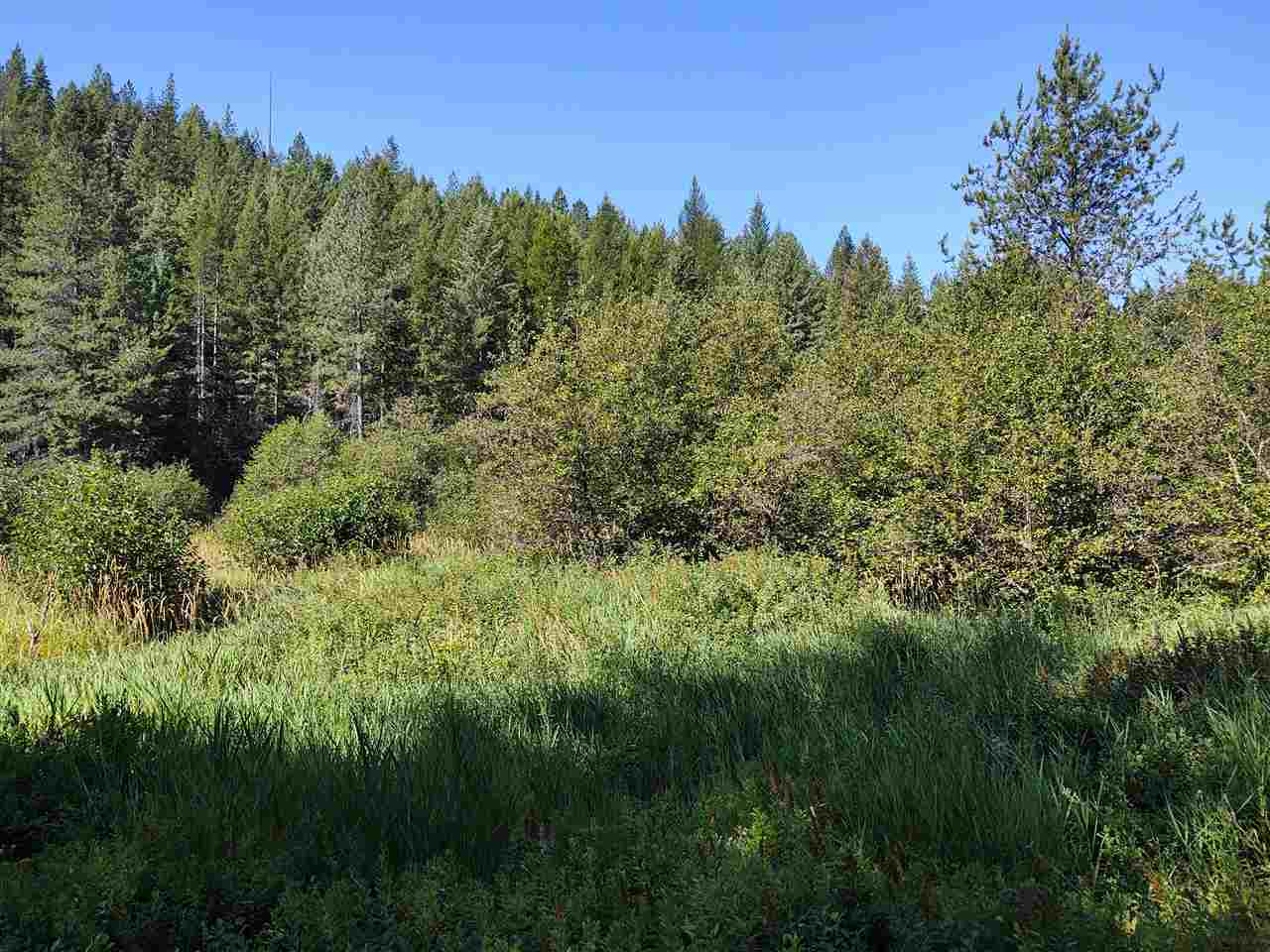 Xxx Xxx Tbd Road Springdale, WA 99173 - Photo 4 of 37