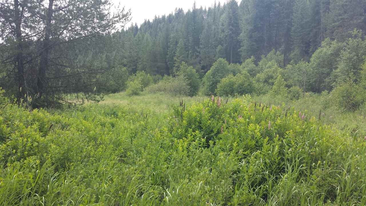 Xxx Xxx Tbd Road Springdale, WA 99173 - Photo 34 of 37