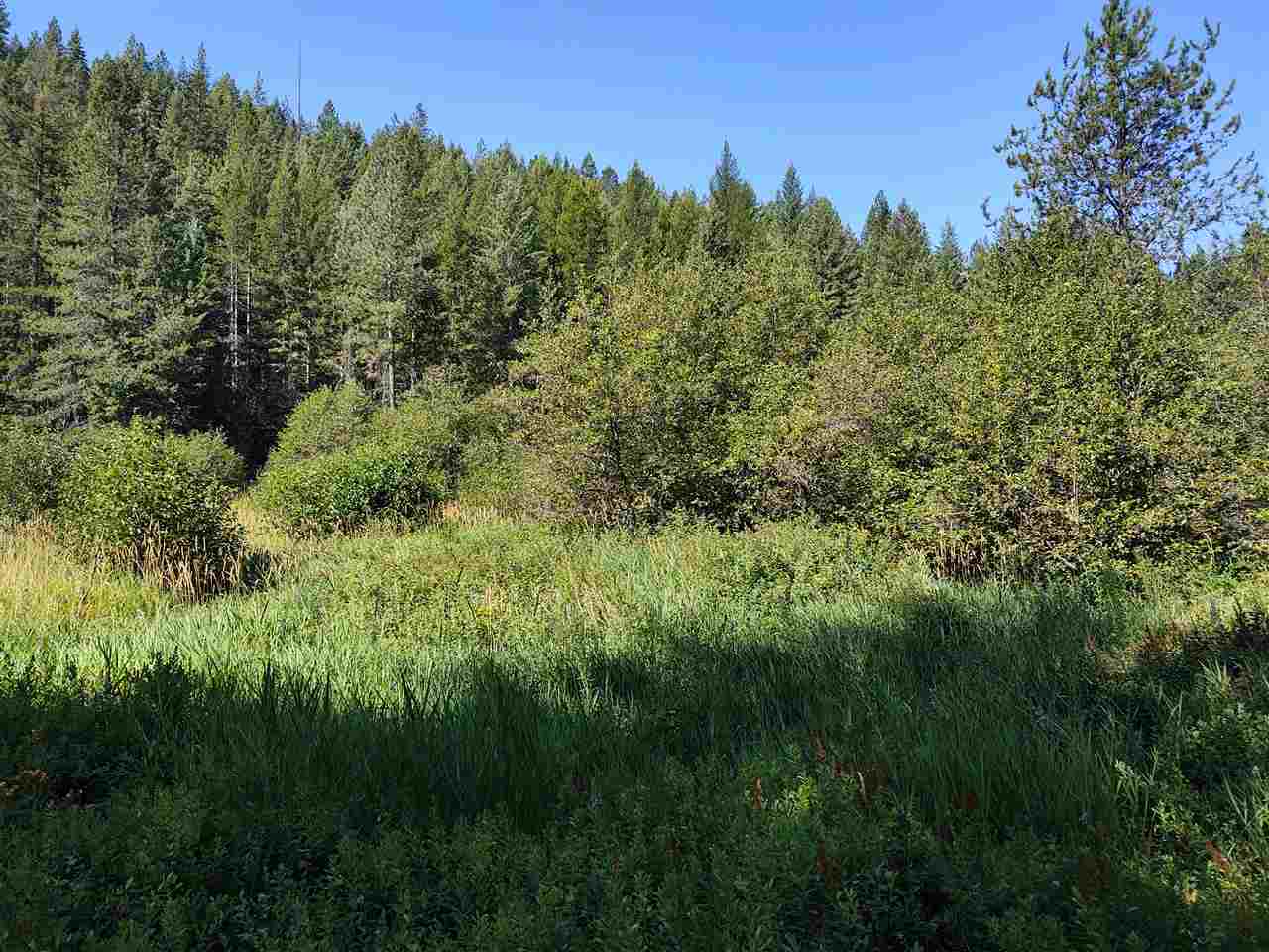 Xxx Xxx Tbd Road Springdale, WA 99173 - Photo 8 of 37