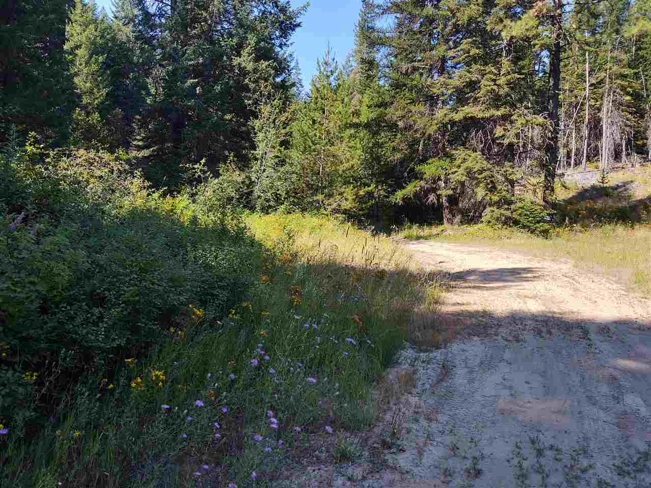 Xxx Xxx Tbd Road Springdale, WA 99173 - Photo 10 of 37