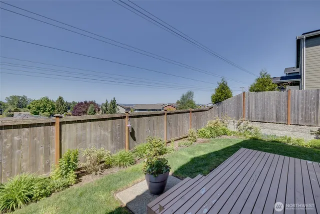 a view of garden with plants