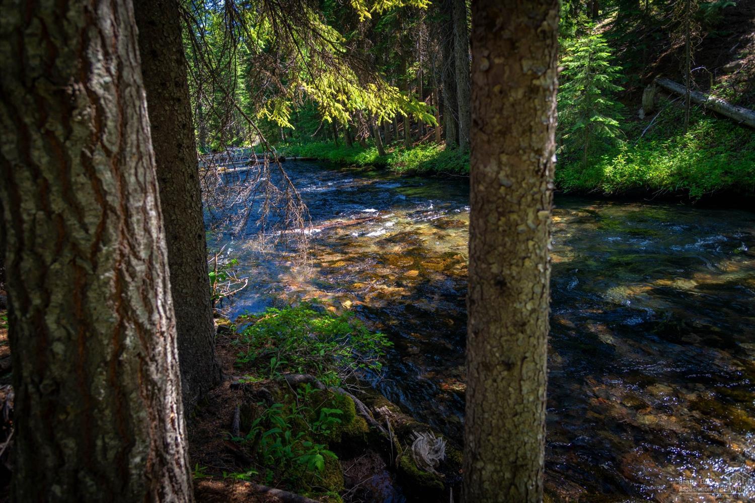 61582 River Road Bend, OR 97703 - Photo 10 of 25 Additional Photo