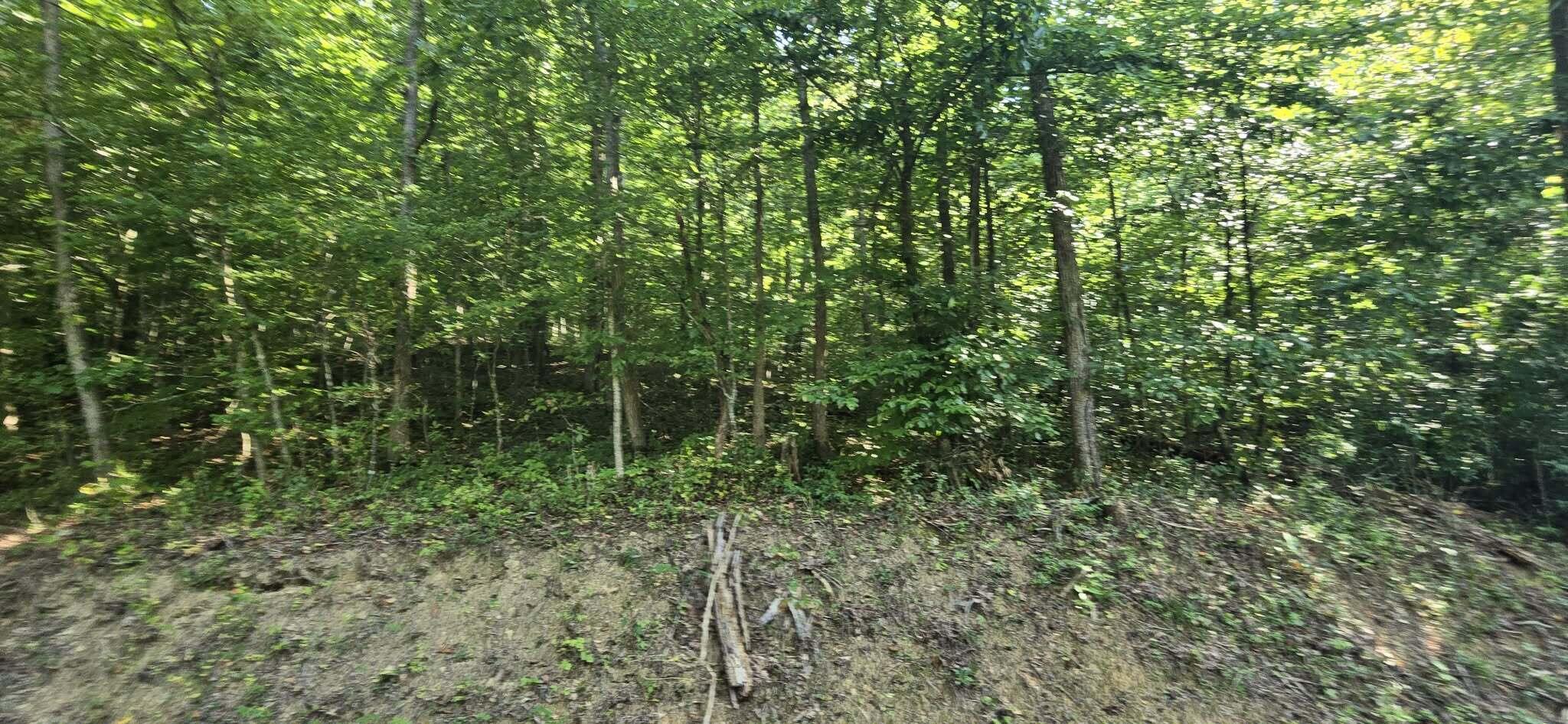 9999 Dora Clark Branch Road Flat Lick, KY 40935 - Photo 15 of 33 9999 Dora Clark