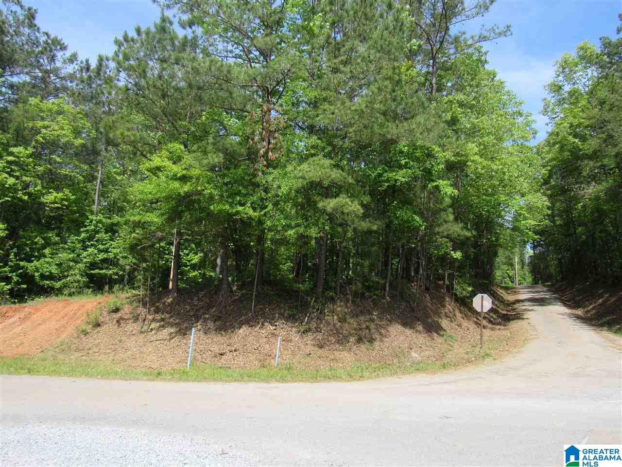 0 County Road 895, Unit 17 ACRES Lineville, AL 36266 - Photo 5 of 30