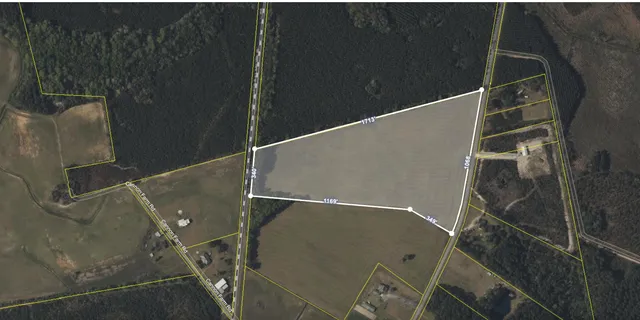 $170,000 | 0 Morrisville Road, Andrews, SC 29510