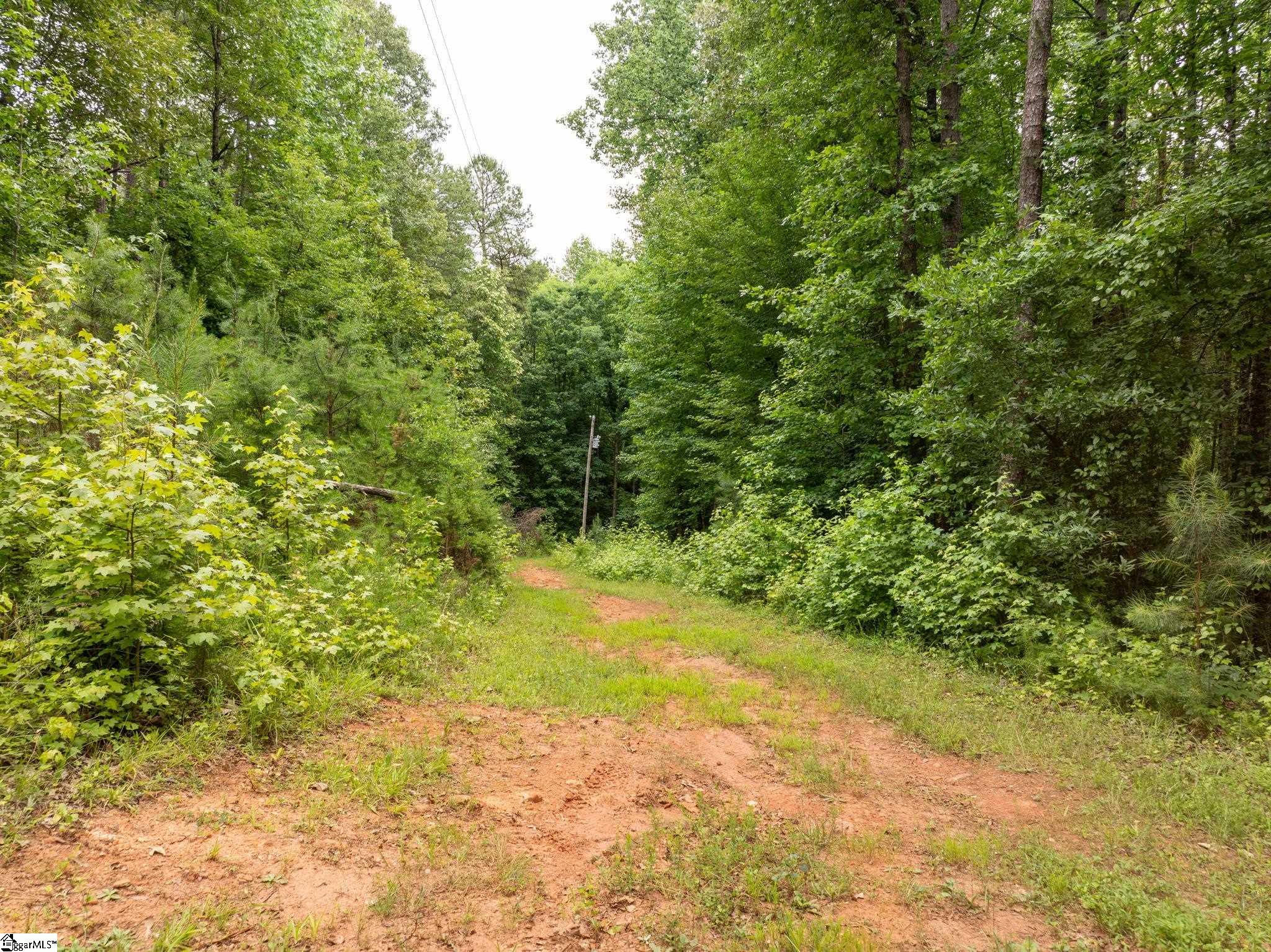 1350 Lee Cudd Road Rutherfordton, NC 28139 - Photo 5 of 34