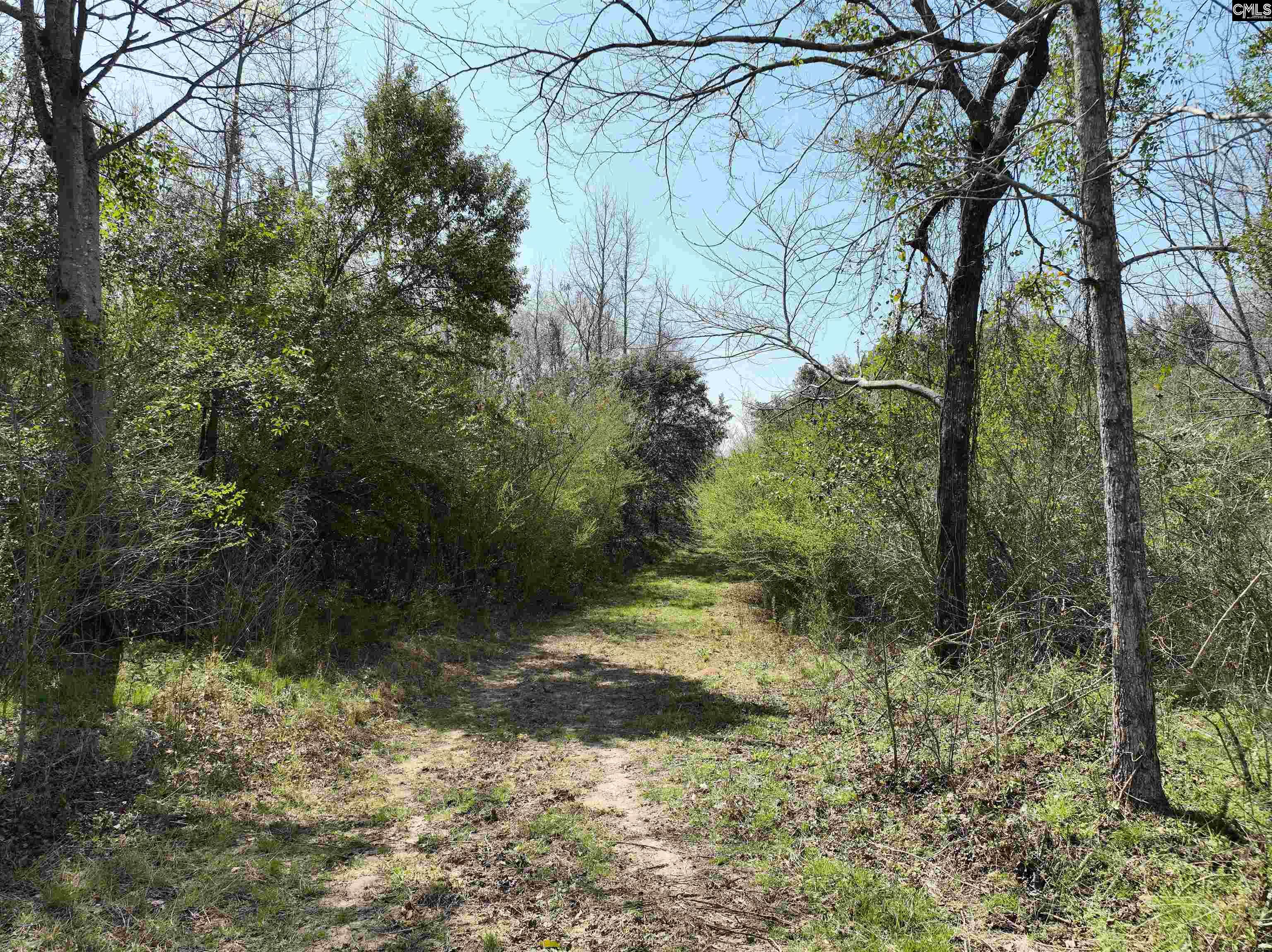 0 Dr Boylston Road Salley, SC 29137 - Photo 21 of 41
