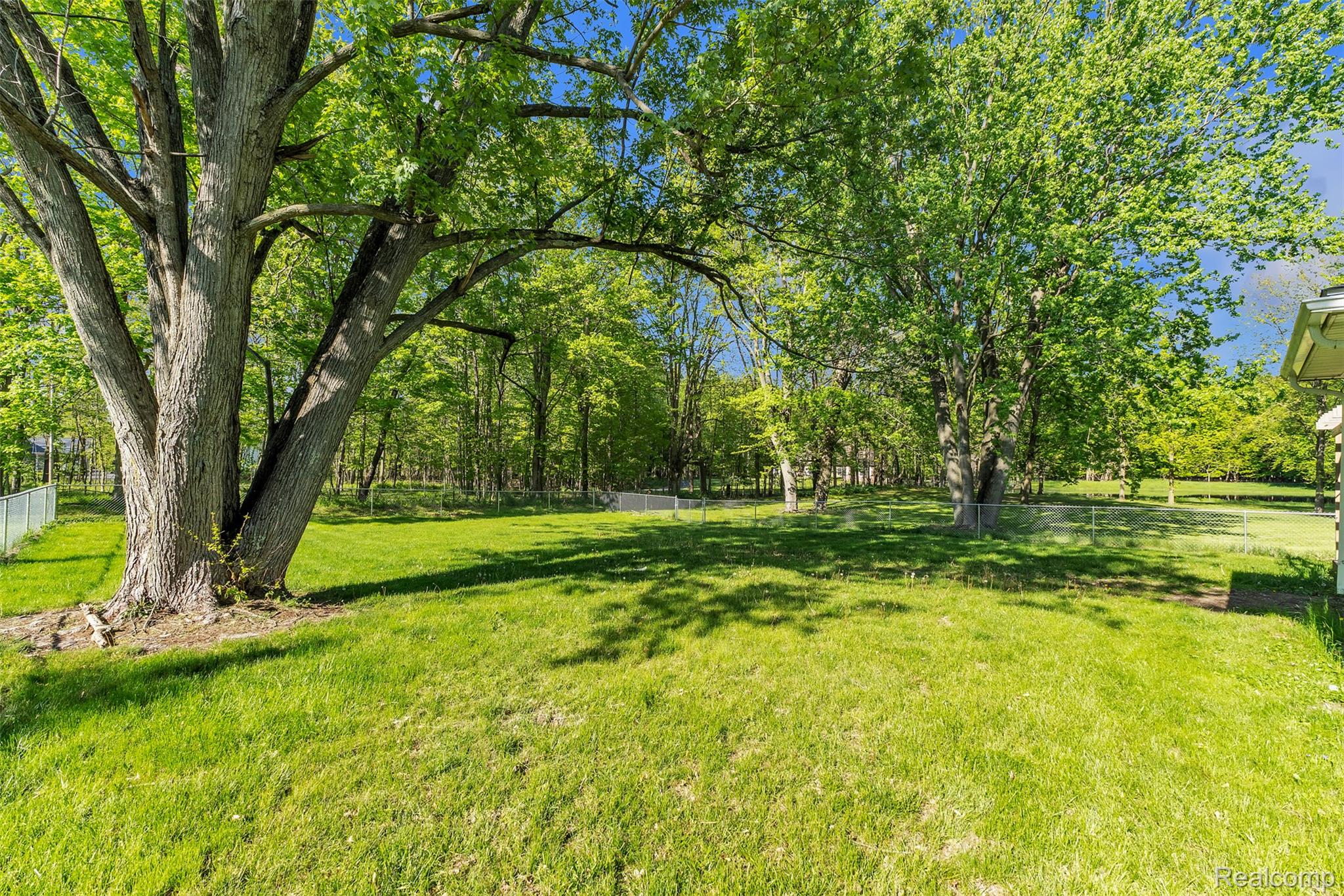 1345 Ives Road Mason, MI 48854 - Photo 72 of 92 View of yard