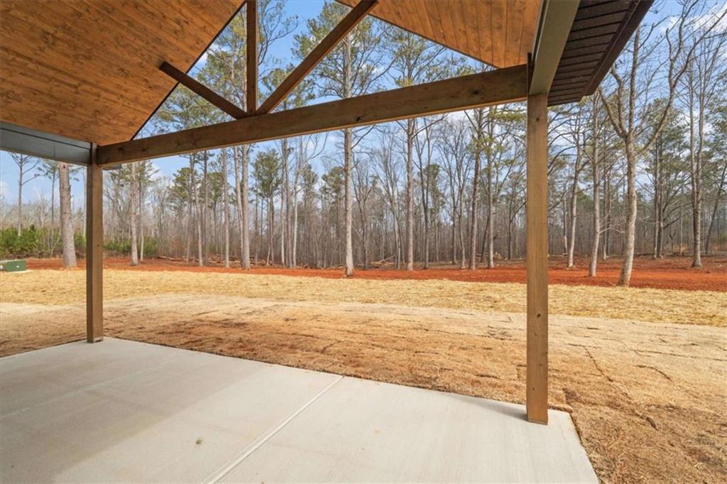 415 Lively Road Waco, GA 30182 - Photo 41 of 49 a bathroom with a tub and shower