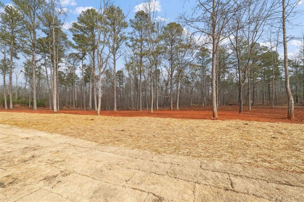 415 Lively Road Waco, GA 30182 - Photo 45 of 49 a view of swimming pool with large trees