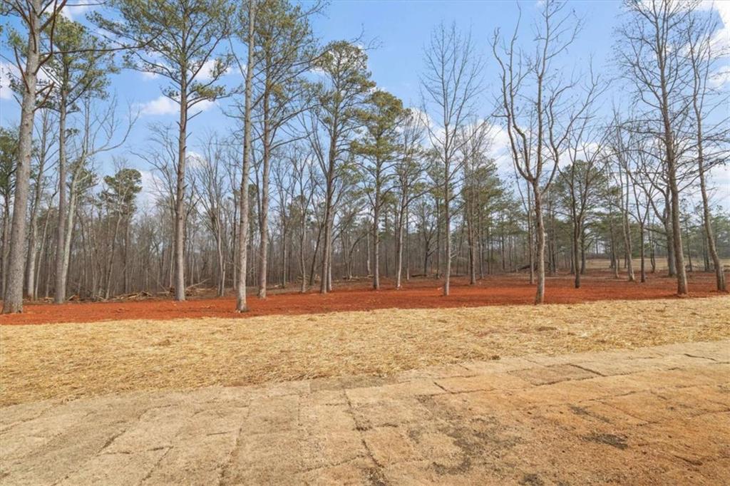 415 Lively Road Waco, GA 30182 - Photo 46 of 49 a yard with trees in front of it