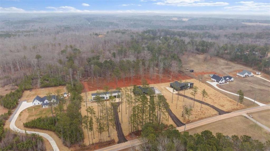 415 Lively Road Waco, GA 30182 - Photo 47 of 49