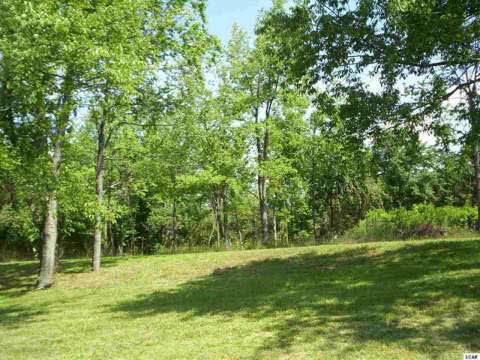 10864 Burton Road Adrian, MI 49221 - Photo 11 of 22 20365665-10.JPG