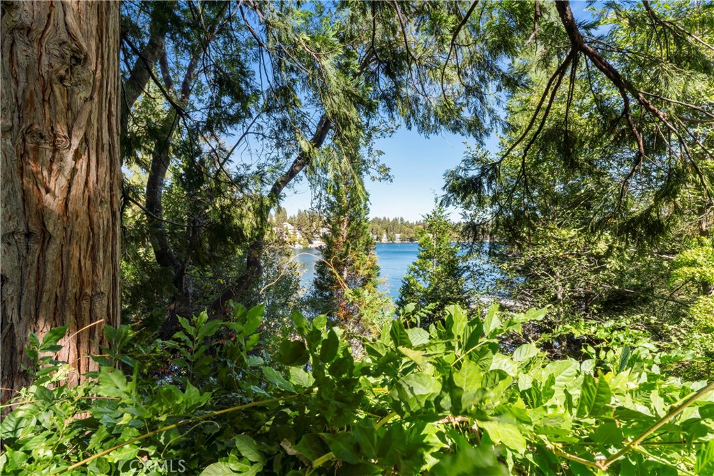197 Rocky Point Road Lake Arrowhead, CA 92352 - Photo 27 of 35 a view of a tree