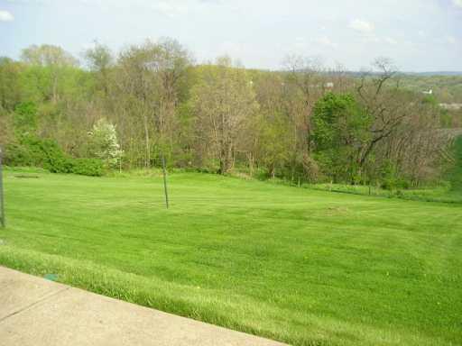 229 County Line Road Bridgeville, PA 15017 - Photo 8 of 8 Land.
