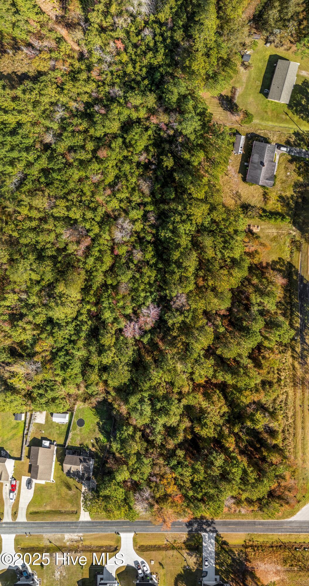 1256 Pickett Road Jacksonville, NC 28540 - Photo 5 of 19 DJI_20251114111823_0909_D
