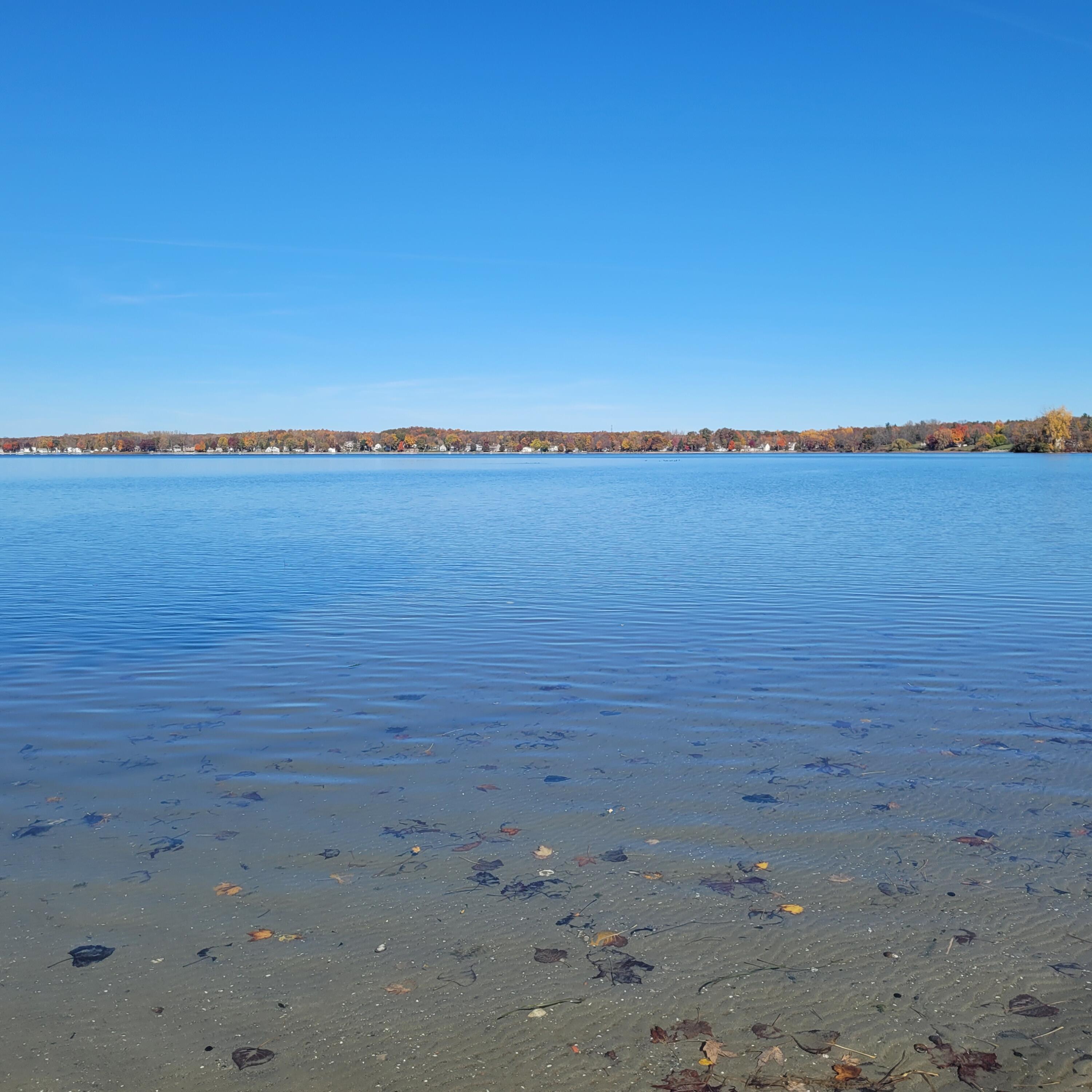 4489 Woerner Road Manitou Beach, MI 49253 - Photo 42 of 46 Crystal Clear Water