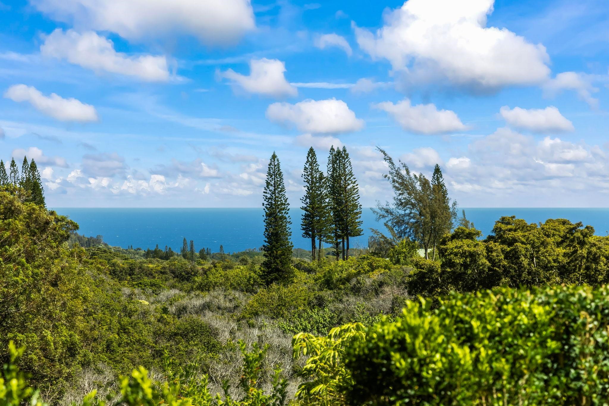 1330 Kauhikoa Road Haiku, HI 96708 - Photo 1 of 1