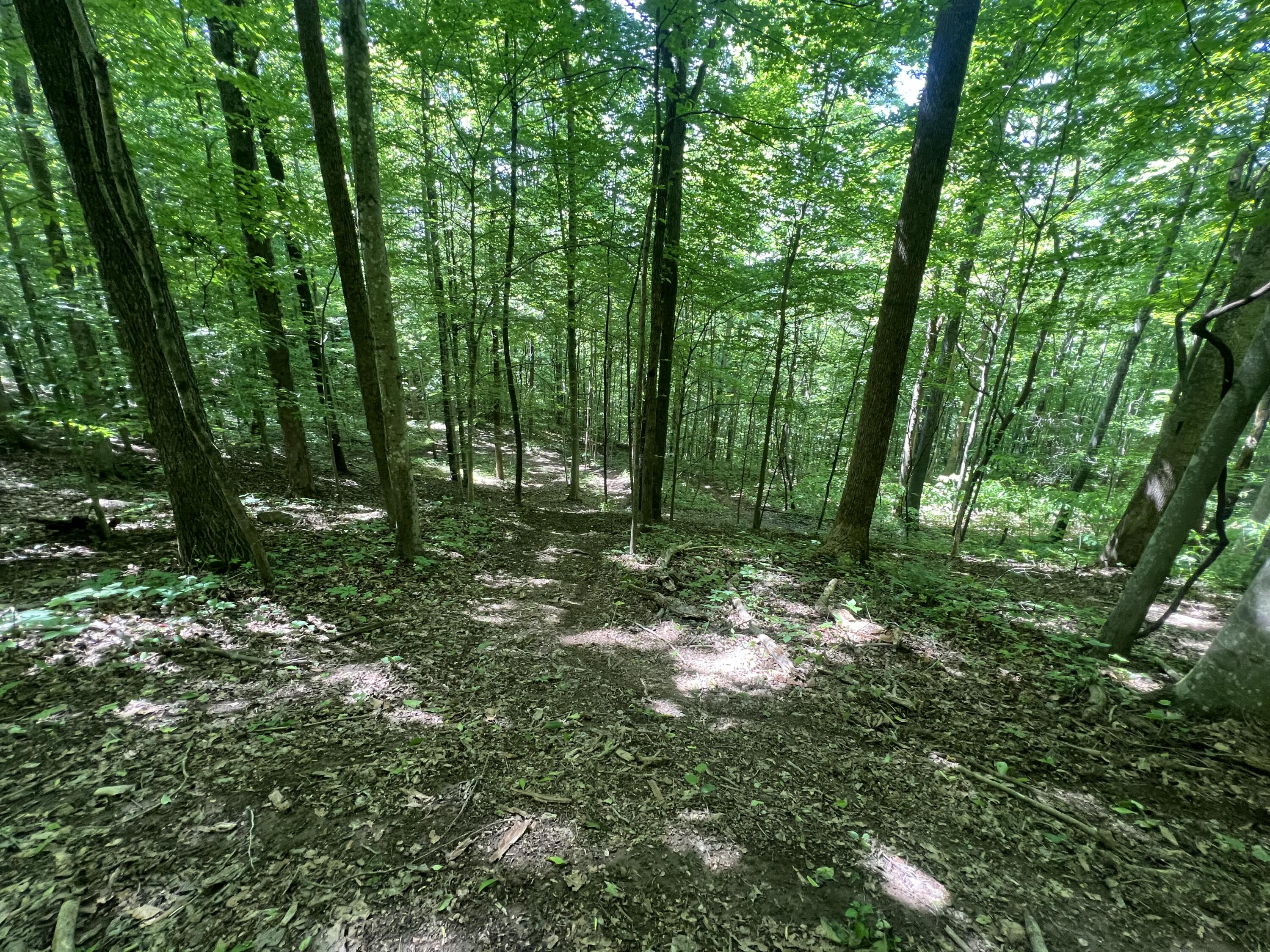 999 Maple Grove Road Orlando, KY 40460 - Photo 28 of 66 IMG_4734
