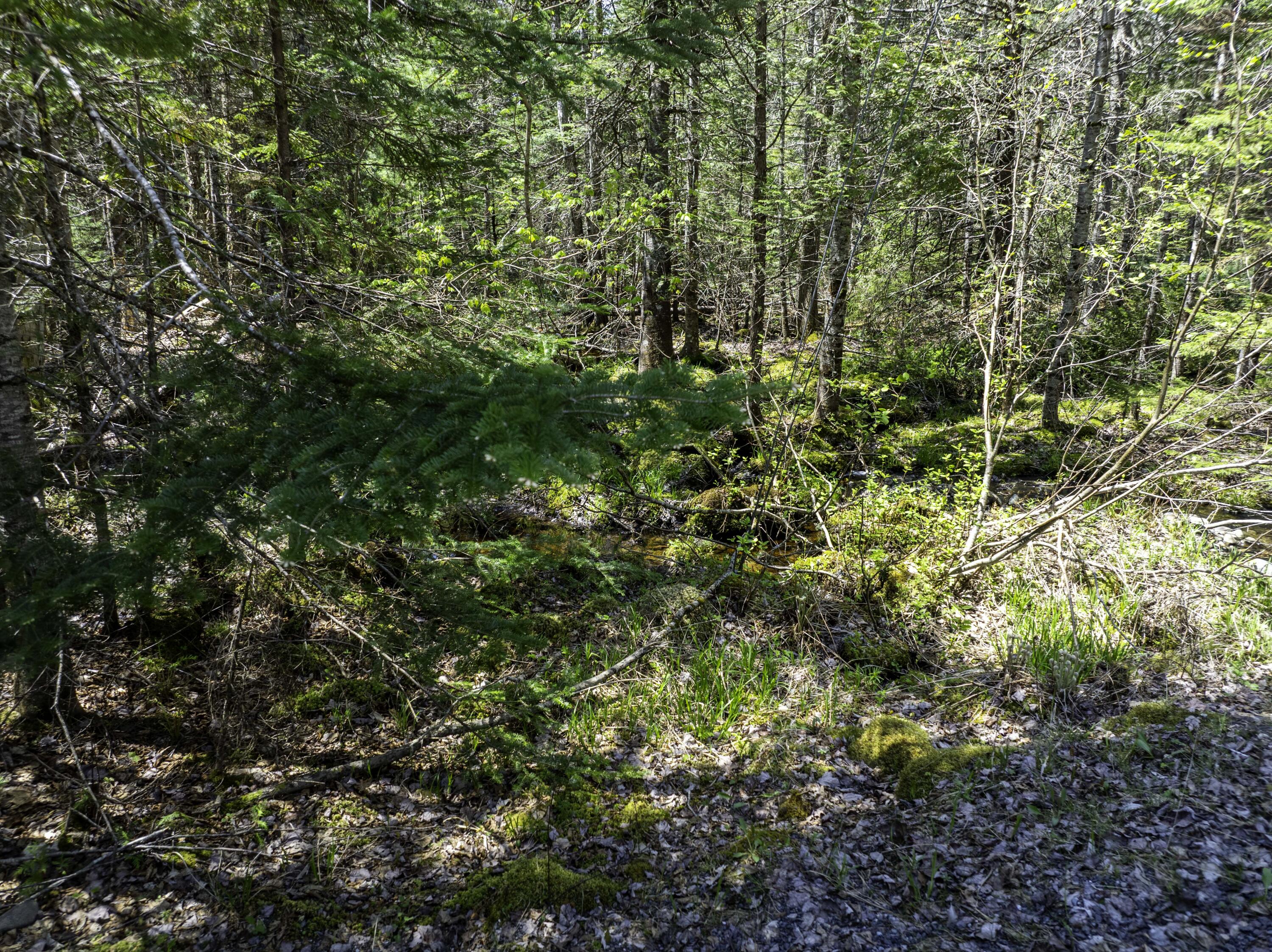 Lot 38 Arrowhead Road Bar Harbor, ME 04609 - Photo 11 of 29 Lot 38 Arrowhead Rd, Bar Harbor (32 of 3