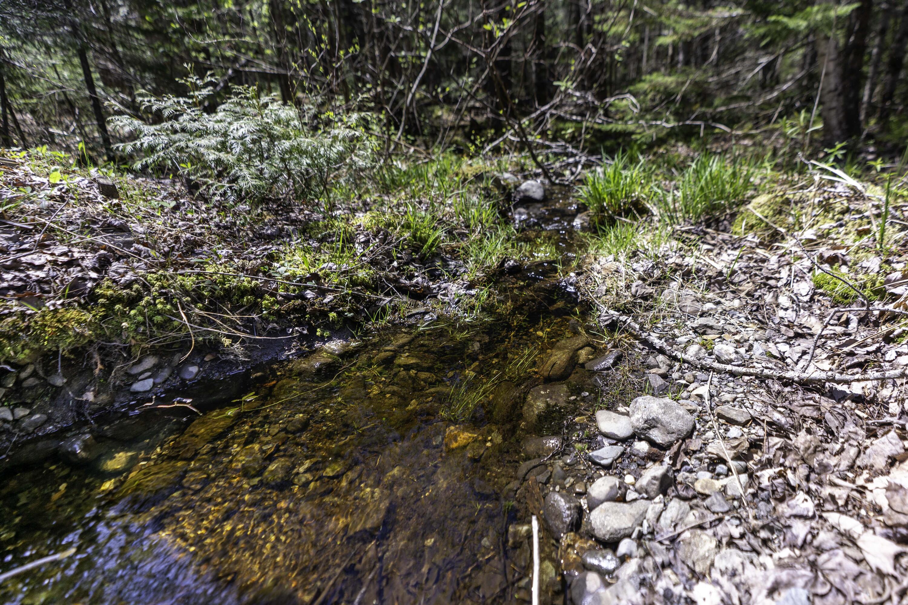 Lot 38 Arrowhead Road Bar Harbor, ME 04609 - Photo 12 of 29 Lot 38 Arrowhead Rd, Bar Harbor (1 of 33