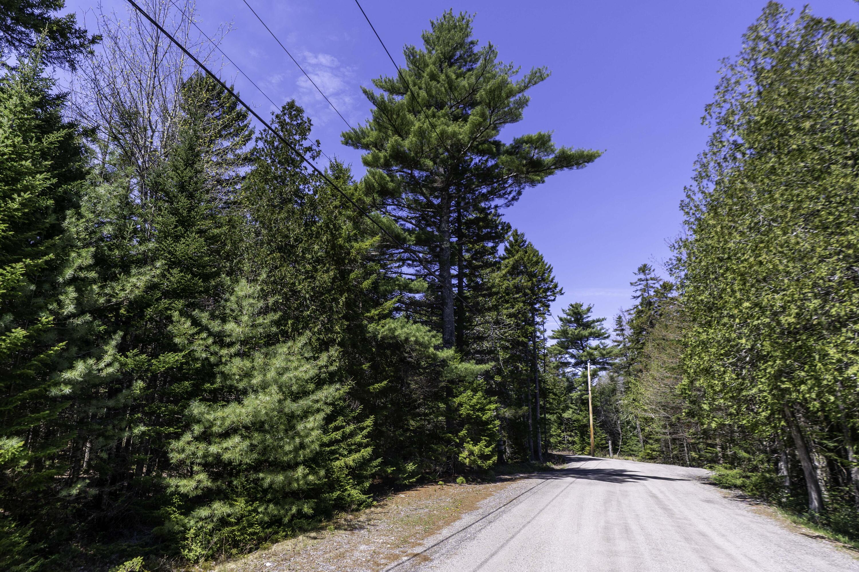 Lot 38 Arrowhead Road Bar Harbor, ME 04609 - Photo 15 of 29 Lot 38 Arrowhead Rd, Bar Harbor (6 of 33