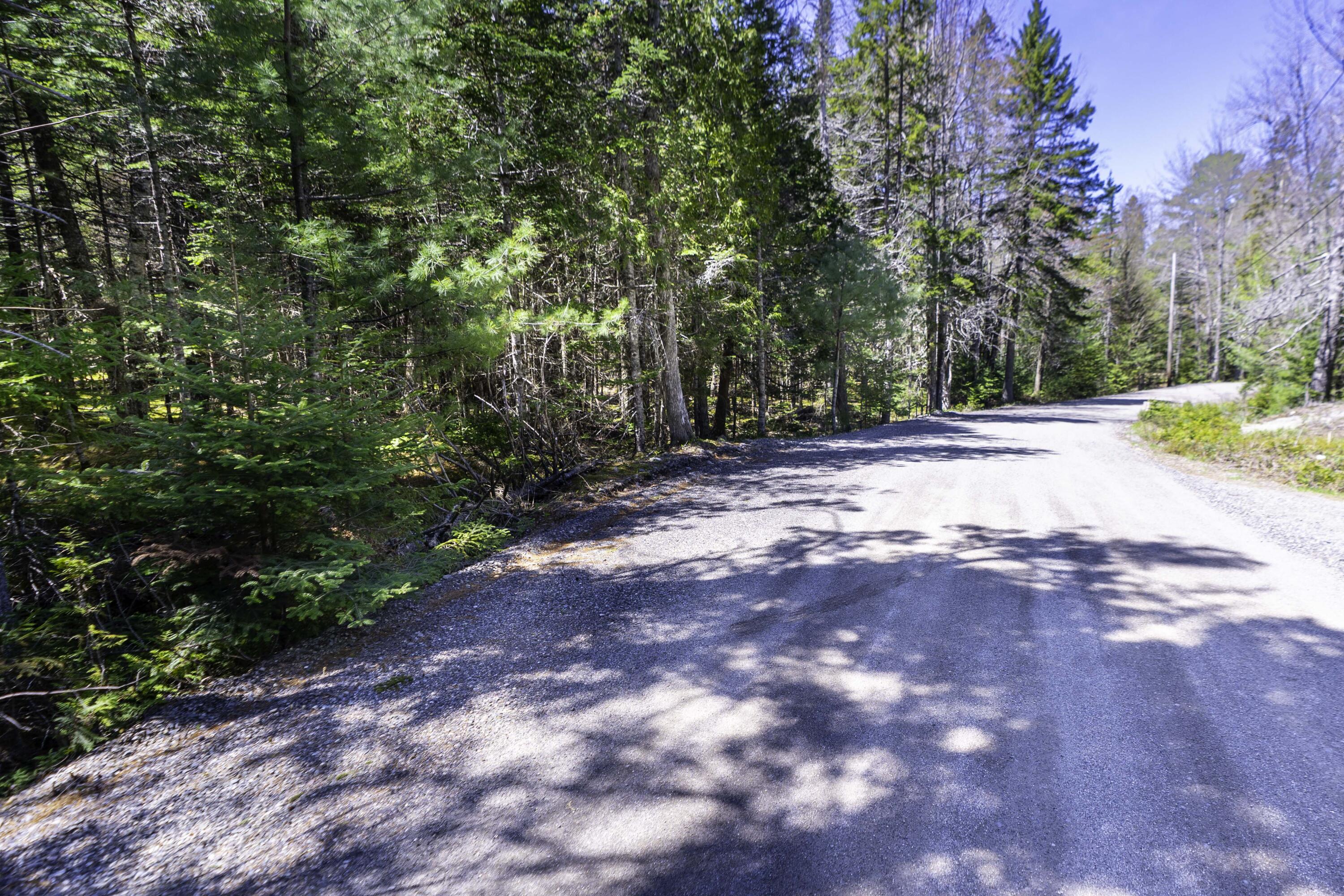 Lot 38 Arrowhead Road Bar Harbor, ME 04609 - Photo 16 of 29 Lot 38 Arrowhead Rd, Bar Harbor (9 of 33