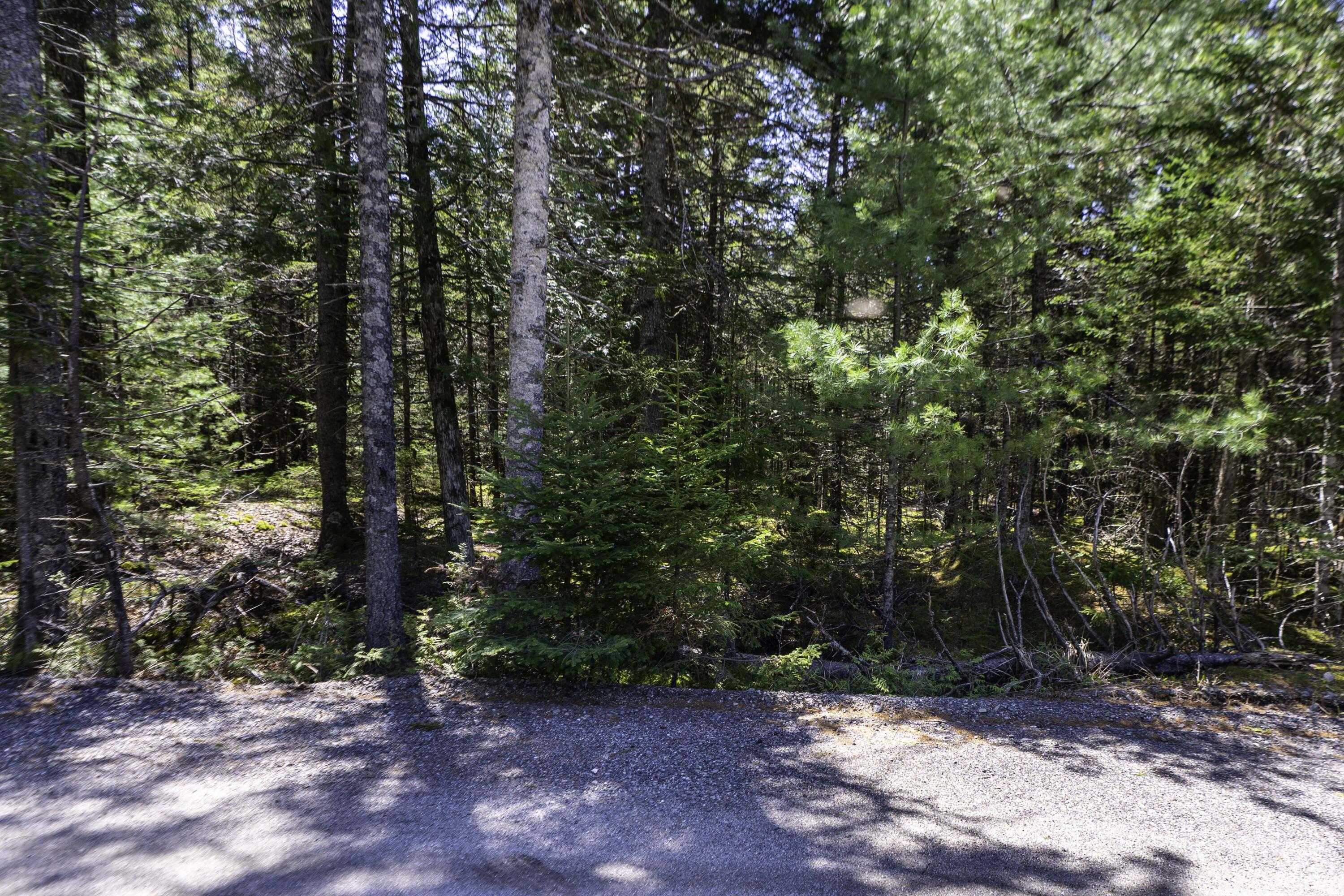 Lot 38 Arrowhead Road Bar Harbor, ME 04609 - Photo 9 of 29 Lot 38 Arrowhead Rd, Bar Harbor (8 of 33