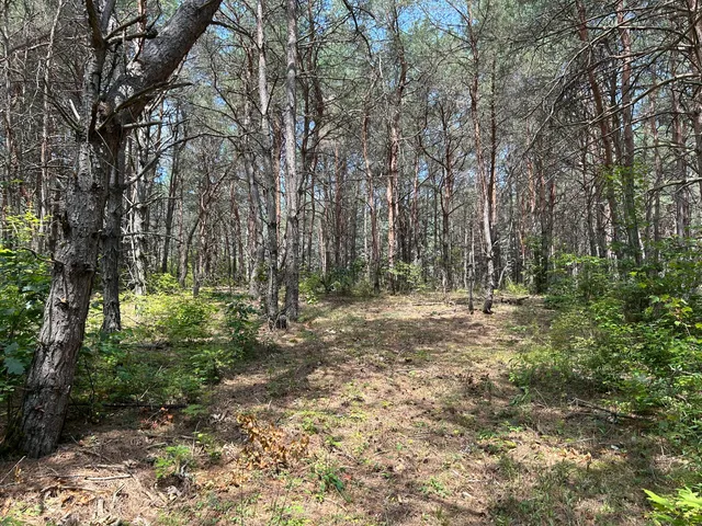 $99,000 | V/l V/l Old Rugged Lane, Reed City, MI 49677