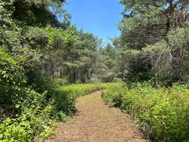 $99,000 | V/l V/l Old Rugged Lane, Reed City, MI 49677