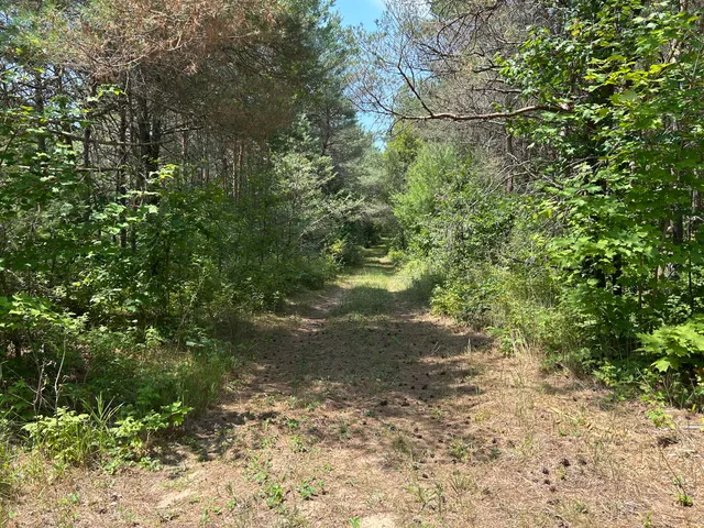 $99,000 | V/l V/l Old Rugged Lane, Reed City, MI 49677
