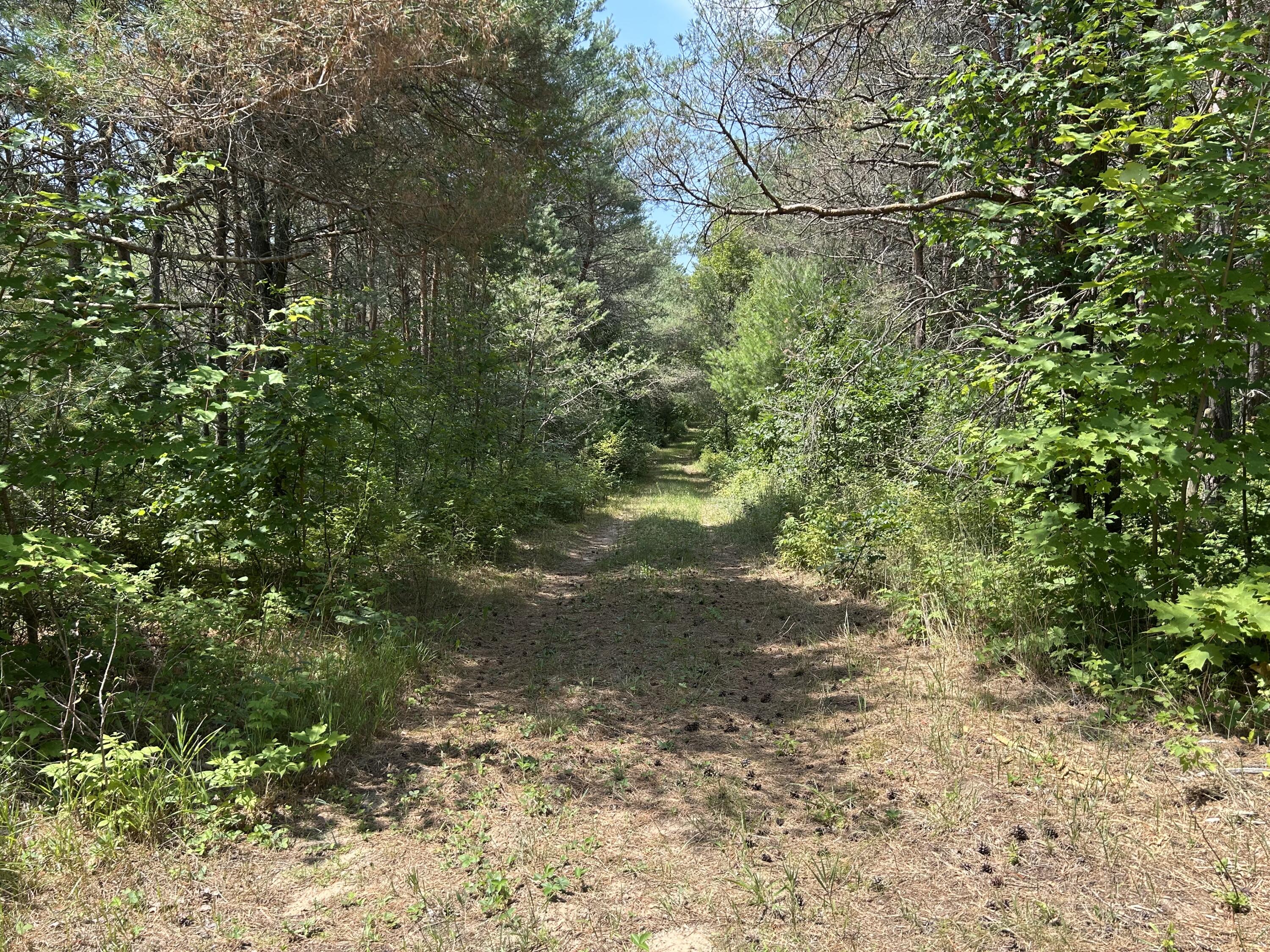 V/l V/l Old Rugged Lane Reed City, MI 49677 - Photo 15 of 16 IMG_1831