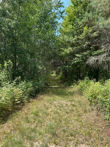 $99,000 | V/l V/l Old Rugged Lane, Reed City, MI 49677