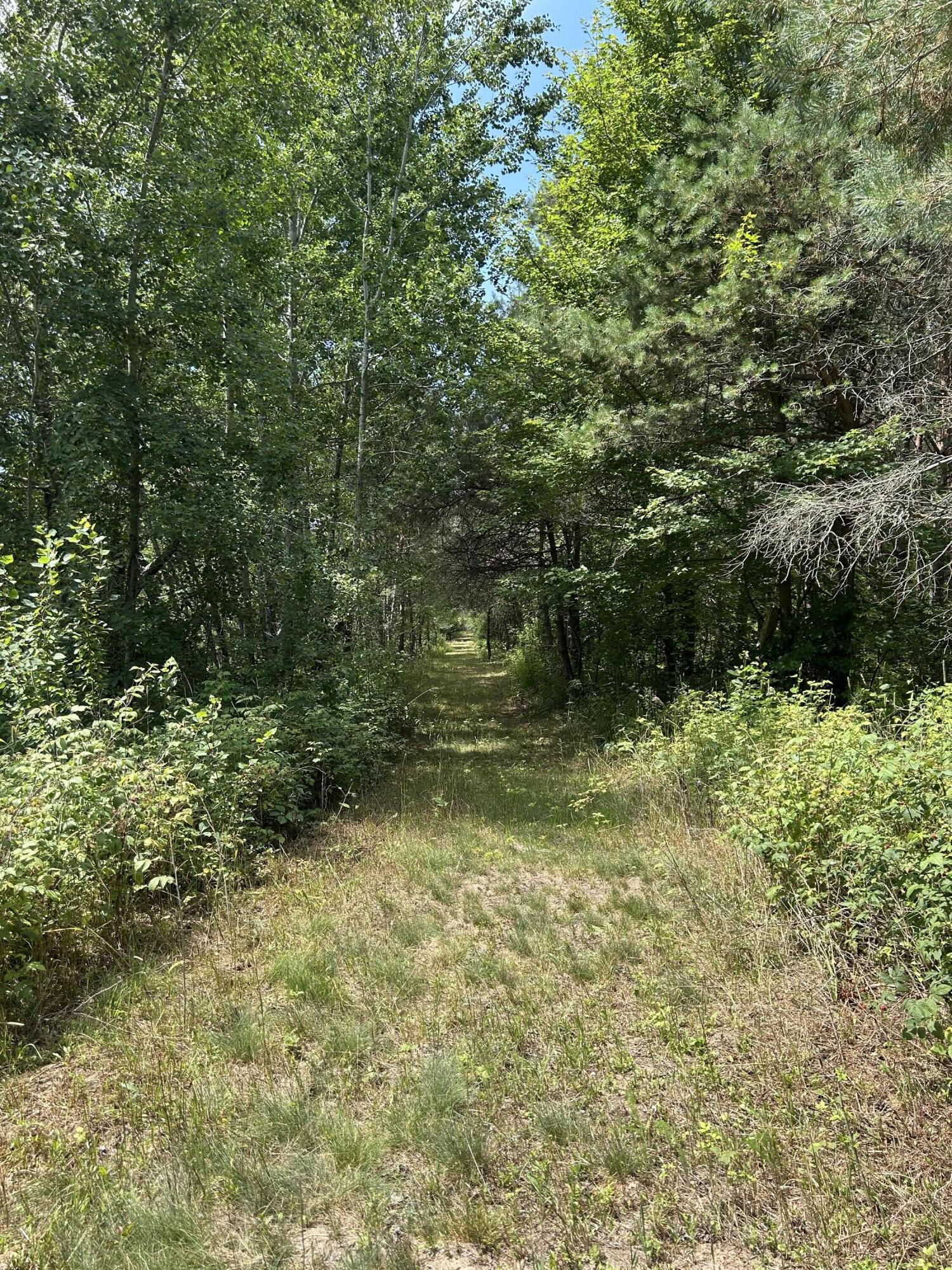 V/l V/l Old Rugged Lane Reed City, MI 49677 - Photo 4 of 16 IMG_1844