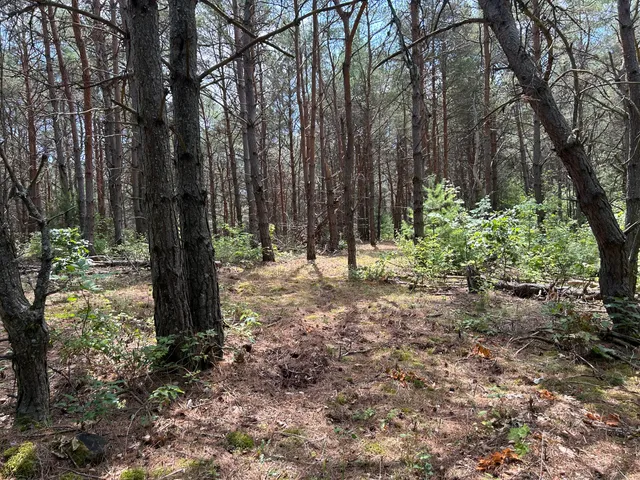 $99,000 | V/l V/l Old Rugged Lane, Reed City, MI 49677