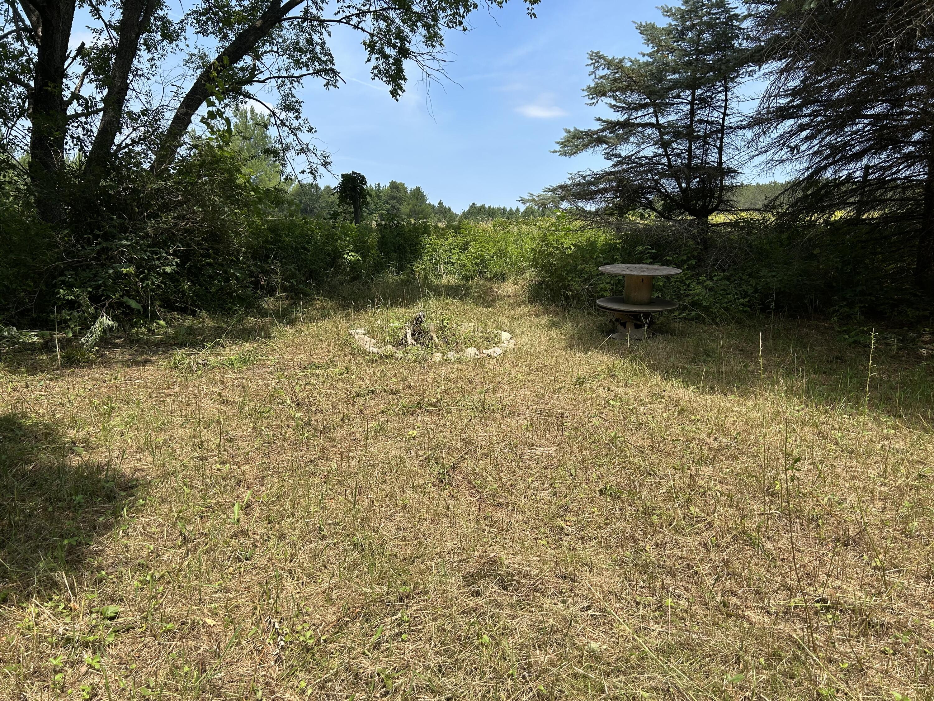 V/l V/l Old Rugged Lane Reed City, MI 49677 - Photo 8 of 16 IMG_1840