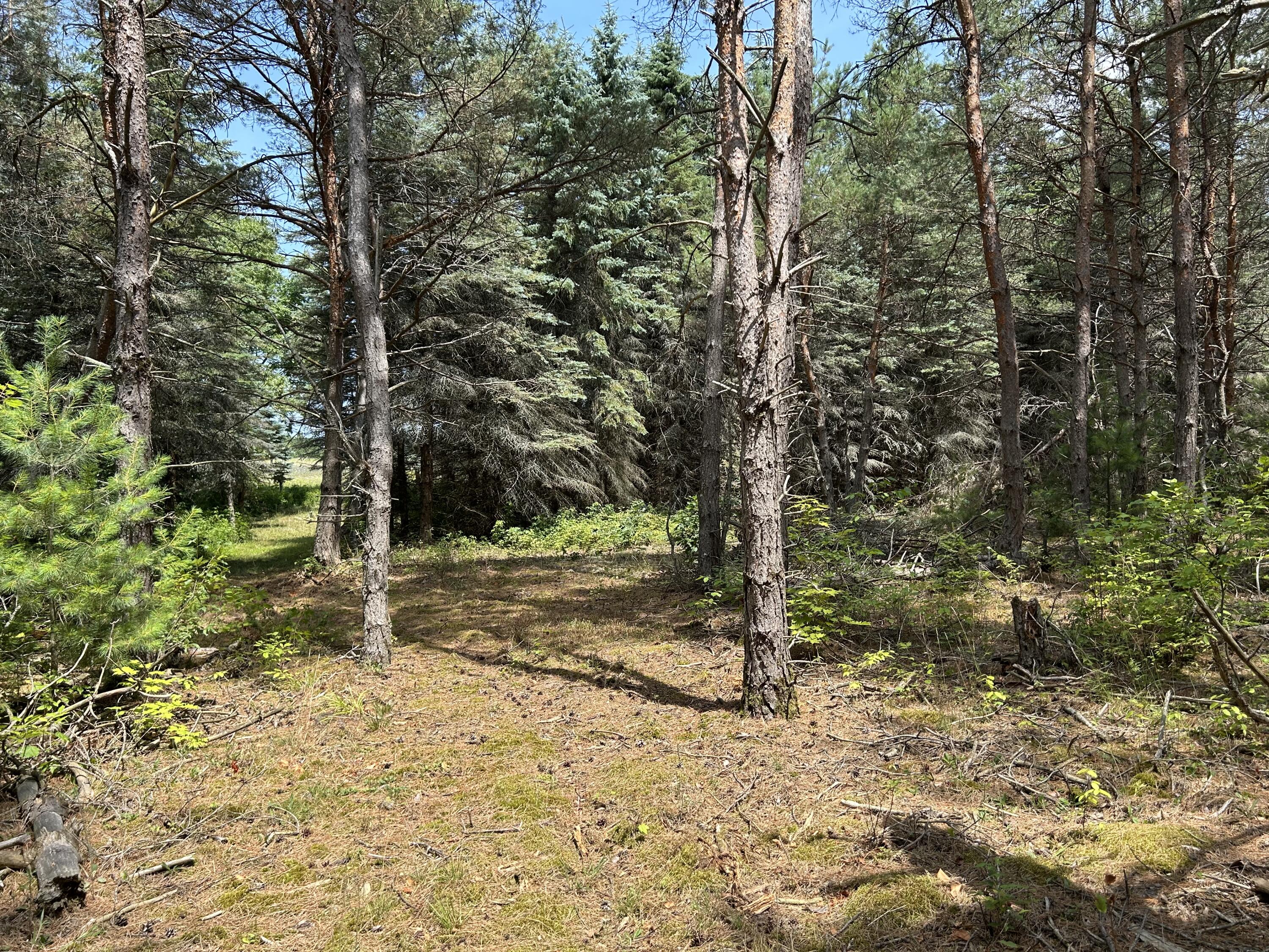 V/l V/l Old Rugged Lane Reed City, MI 49677 - Photo 10 of 16 IMG_1838