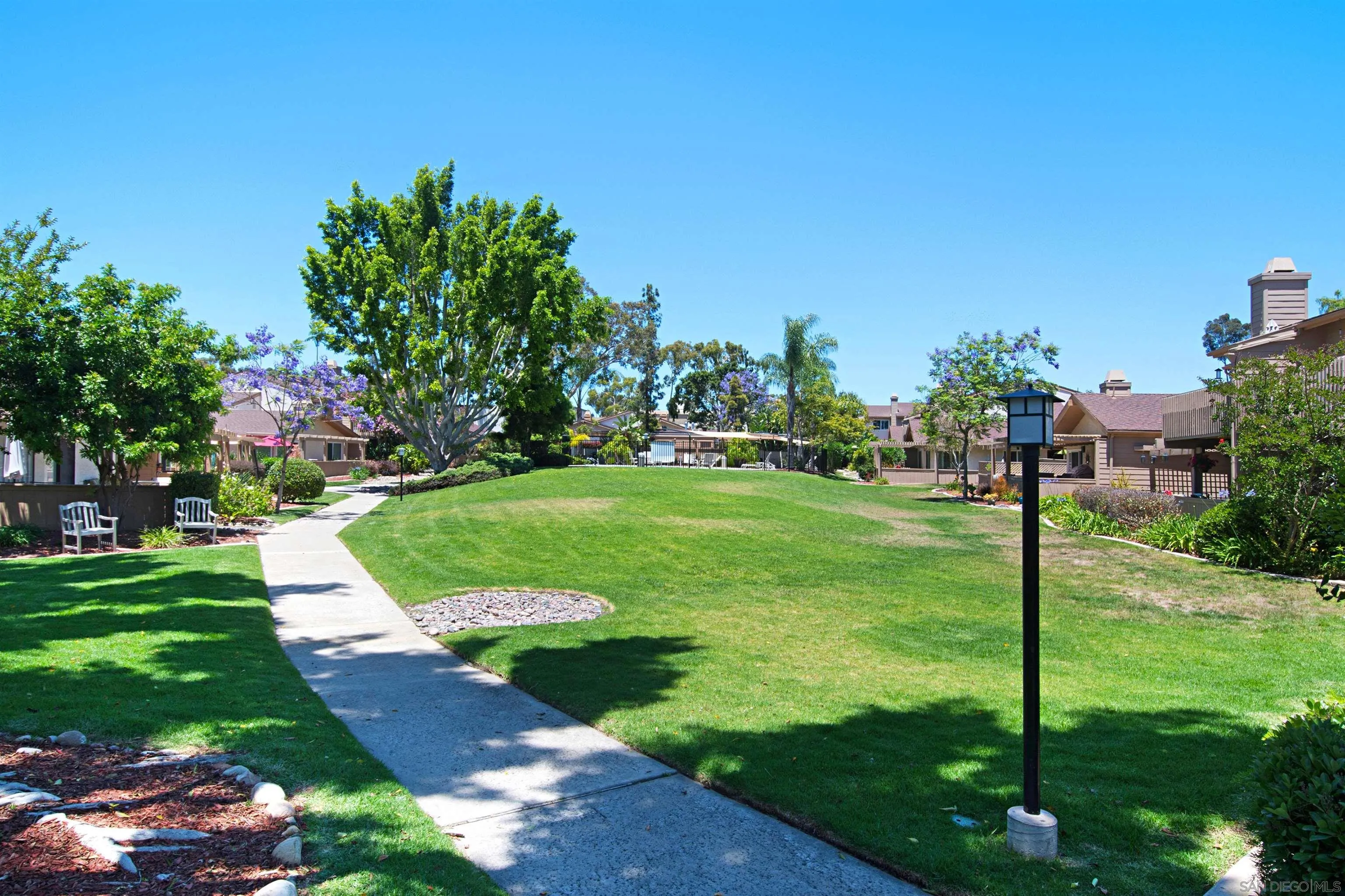9917 Aviary Drive San Diego, CA 92131 - Photo 32 of 40 a view of a garden with plants