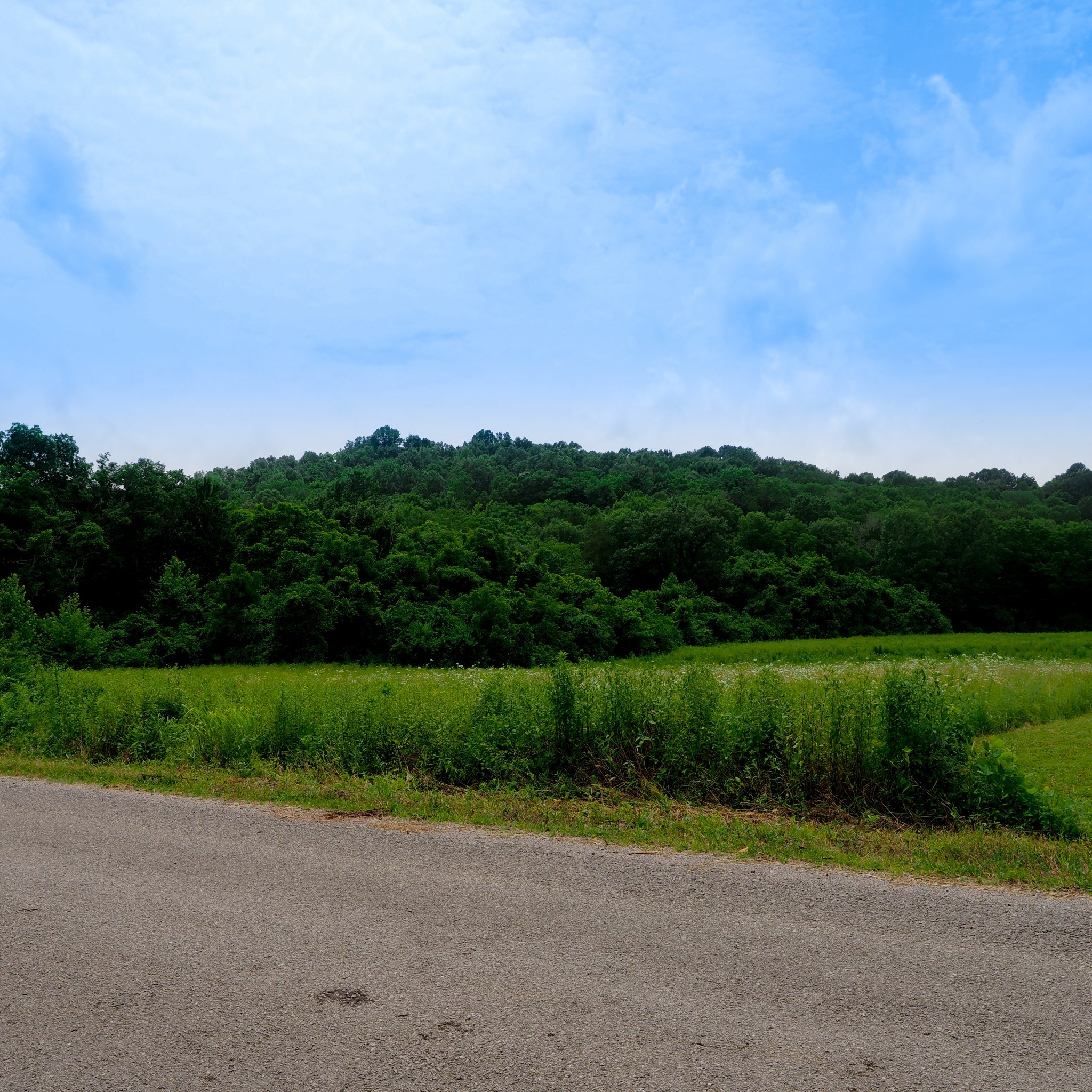 8 Fitzpatrick Road Culleoka, TN 38451 - Photo 2 of 7 Gallery Image 2