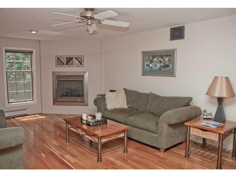27 Hemlock Road Brunswick, ME 04011 - Photo 19 of 35 Den/Family/Great Room. A propane...