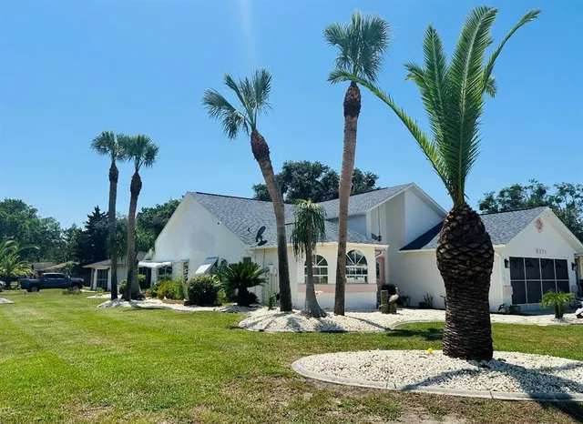 a palm tree sitting in front of a house with a yard