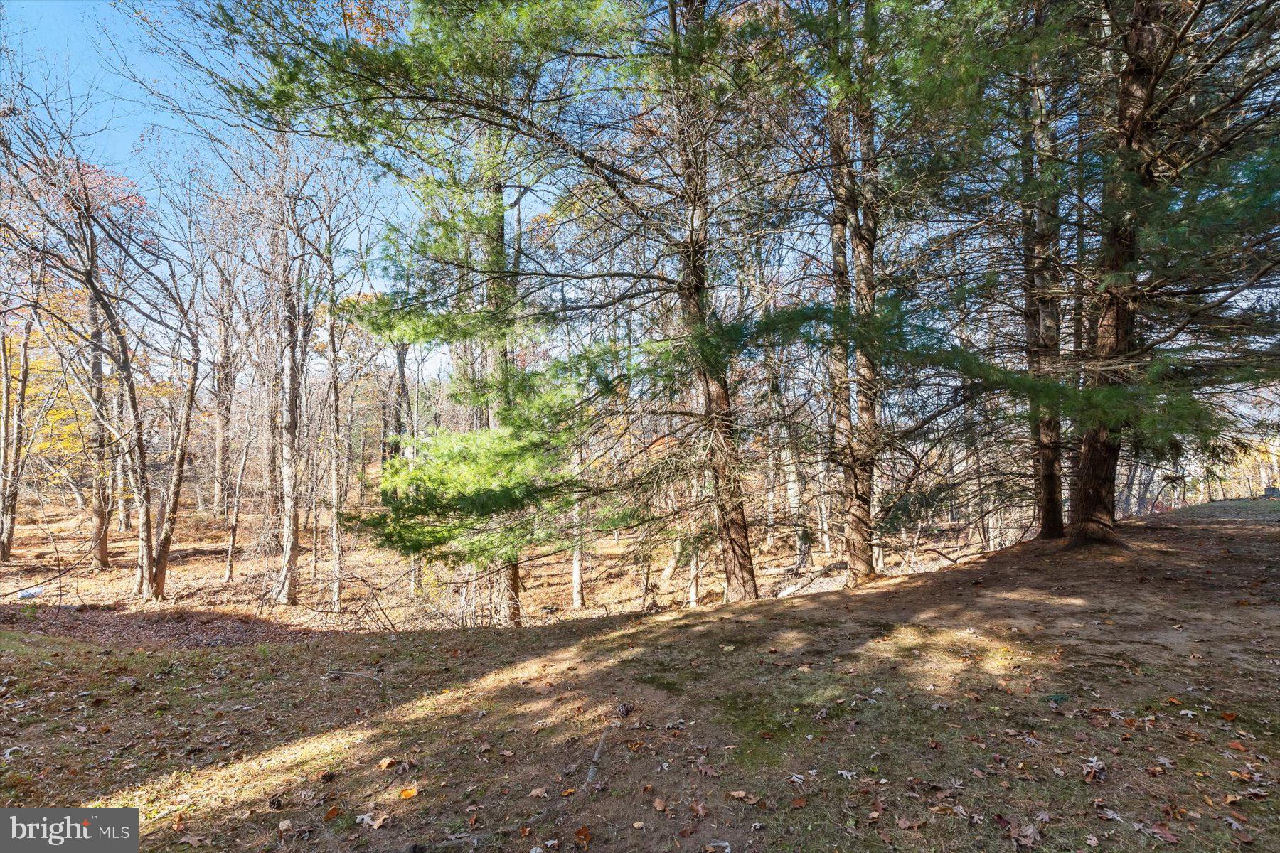 4226 Huntshire Road Randallstown, MD 21133 - Photo 5 of 13