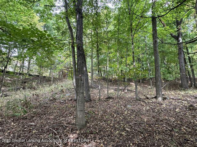 7664 Walnut Grove Road Portland, MI 48875 - Photo 22 of 24 IMG_6136