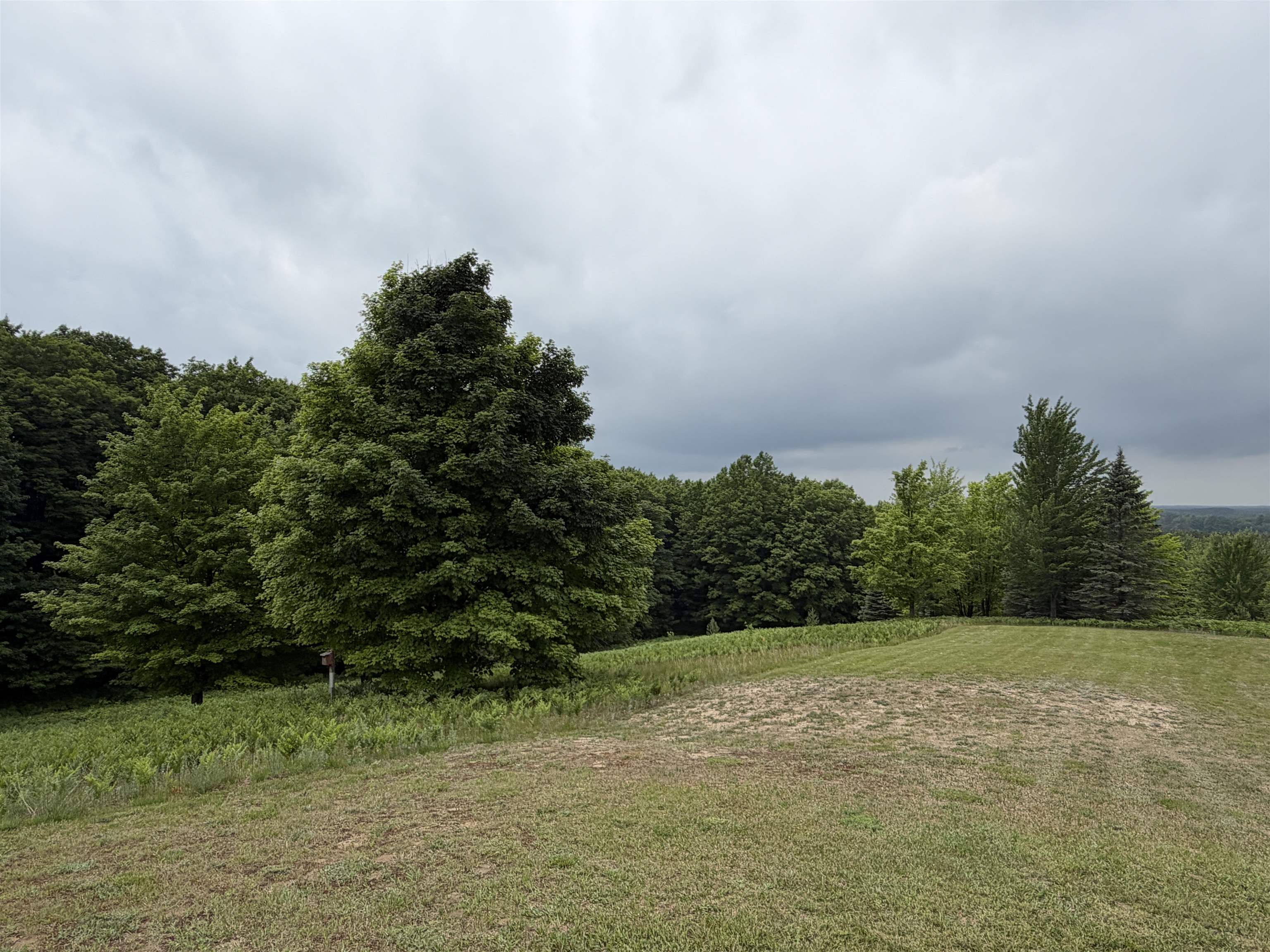 2324 Krumlauf Road Southeast Kalkaska, MI 49646 - Photo 49 of 53