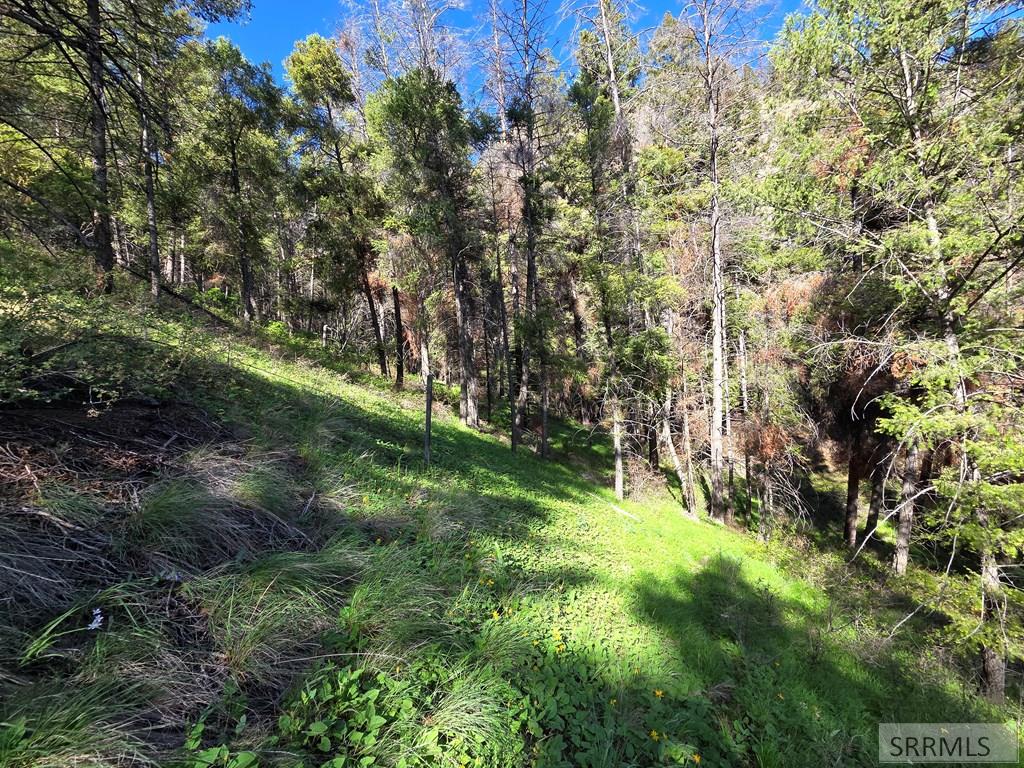21 Pinetree Drive Salmon, ID 83467 - Photo 26 of 71