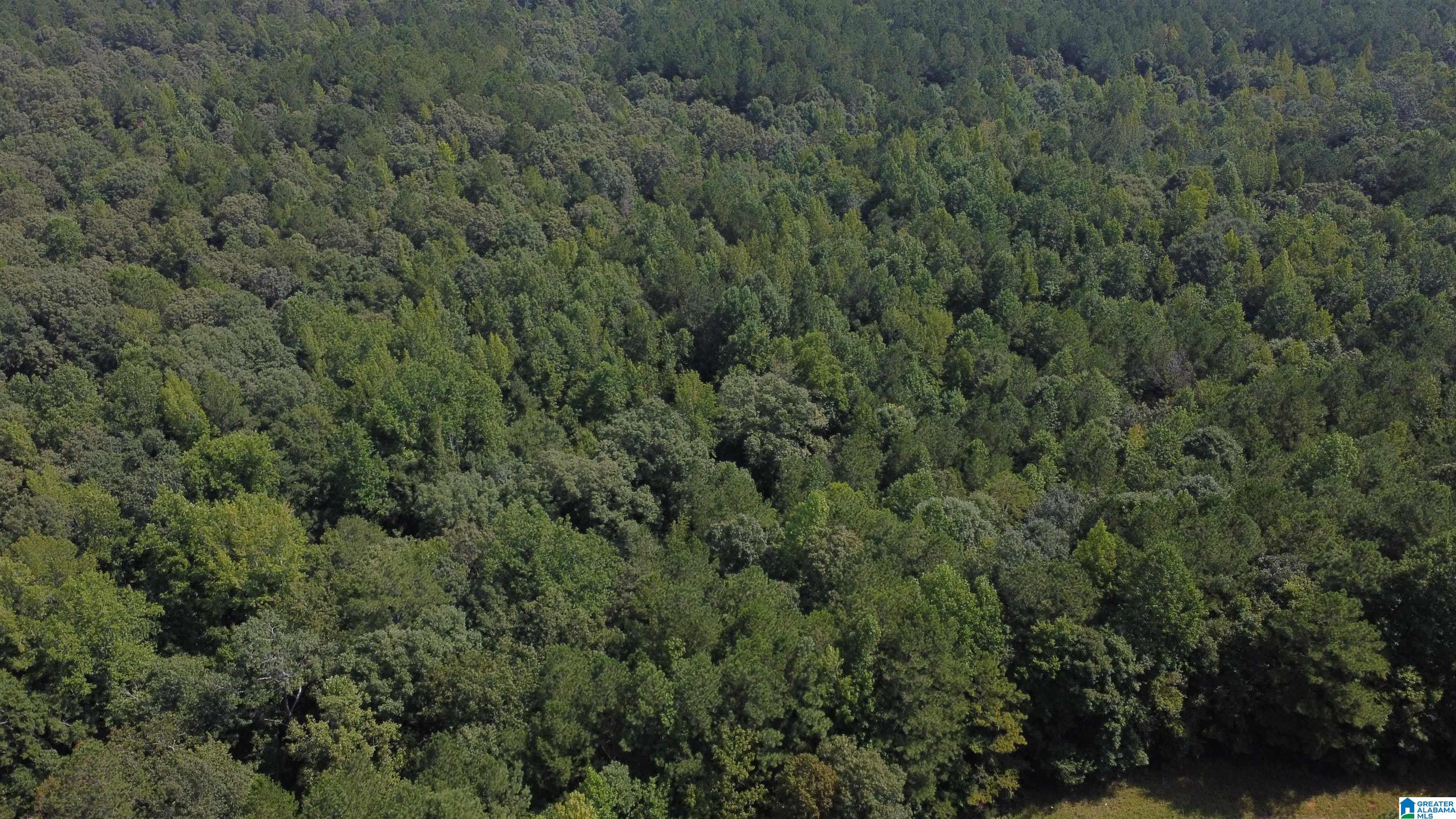 Lane Branch Road, Unit 3 Wedowee, AL 36278 - Photo 7 of 10