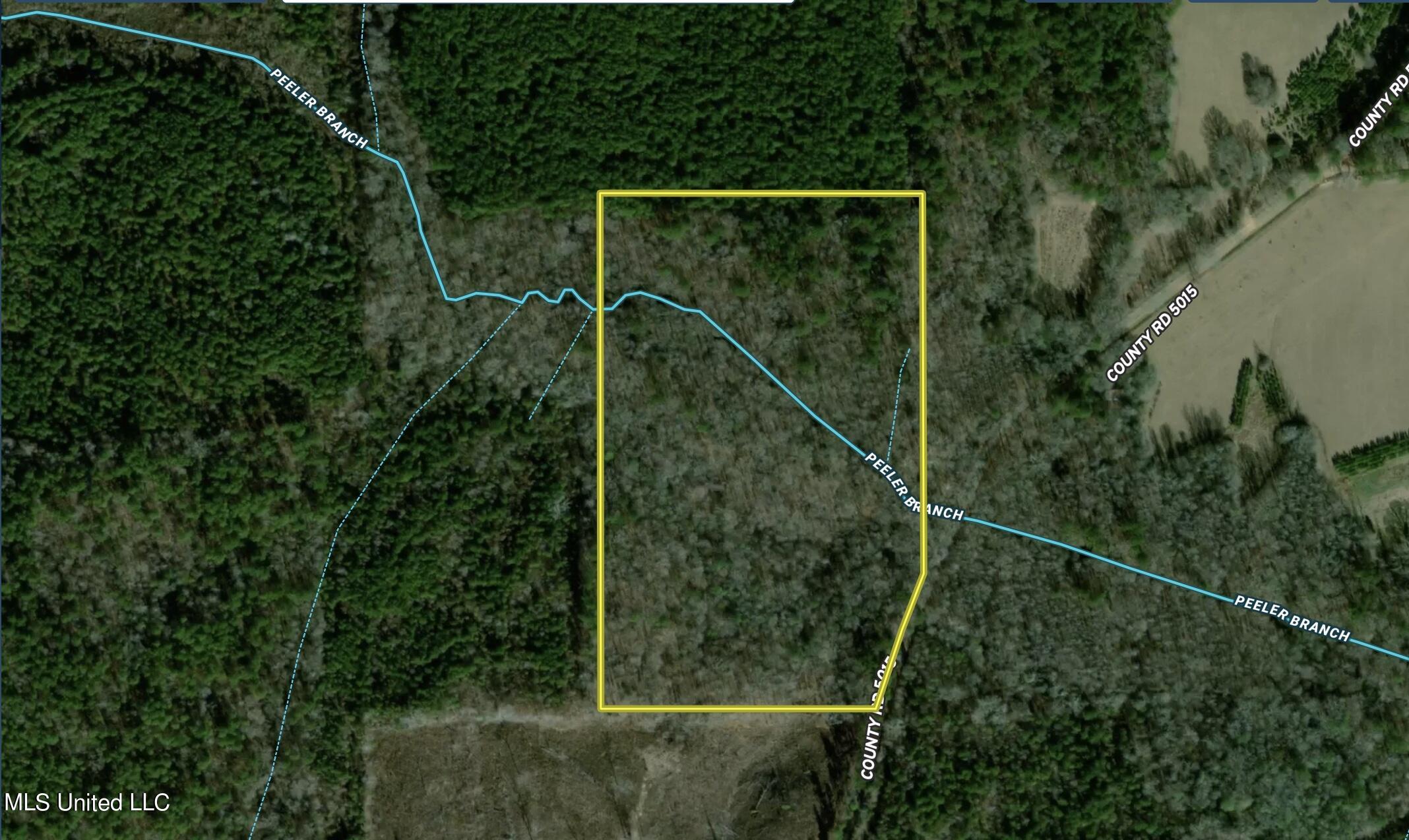 0 Center Road Kosciusko, MS 39090 - Photo 1 of 3 MAP