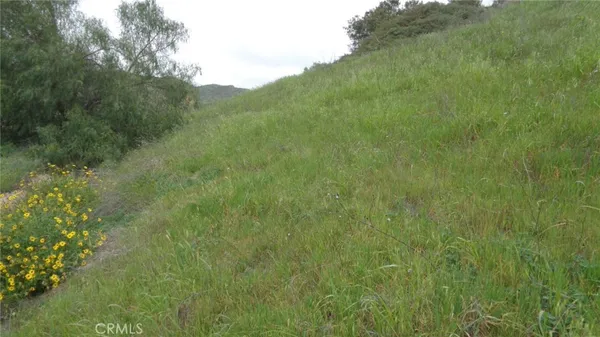 a view of a lush green space with sea