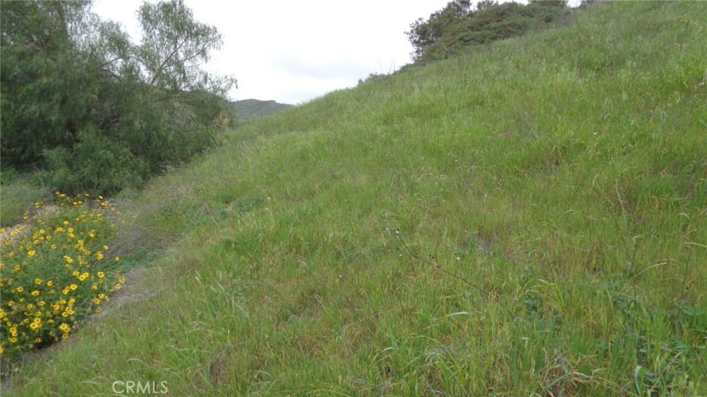 9516 Ca-118 Simi Valley Simi Valley, CA 93063 - Photo 3 of 9 a view of a lush green forest with a mountain