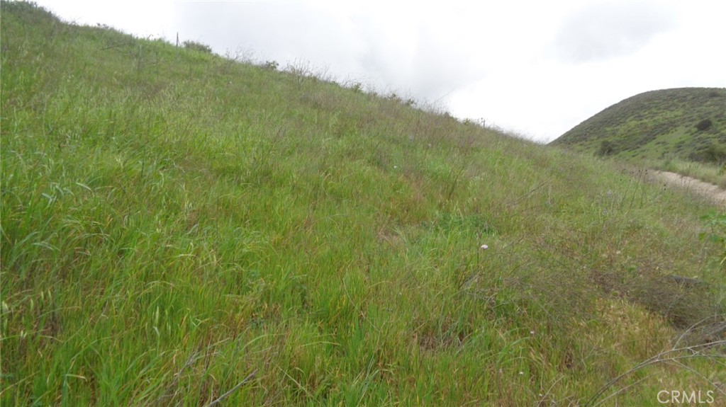 9516 Ca-118 Simi Valley Simi Valley, CA 93063 - Photo 4 of 9 a view of a lush green space with sea